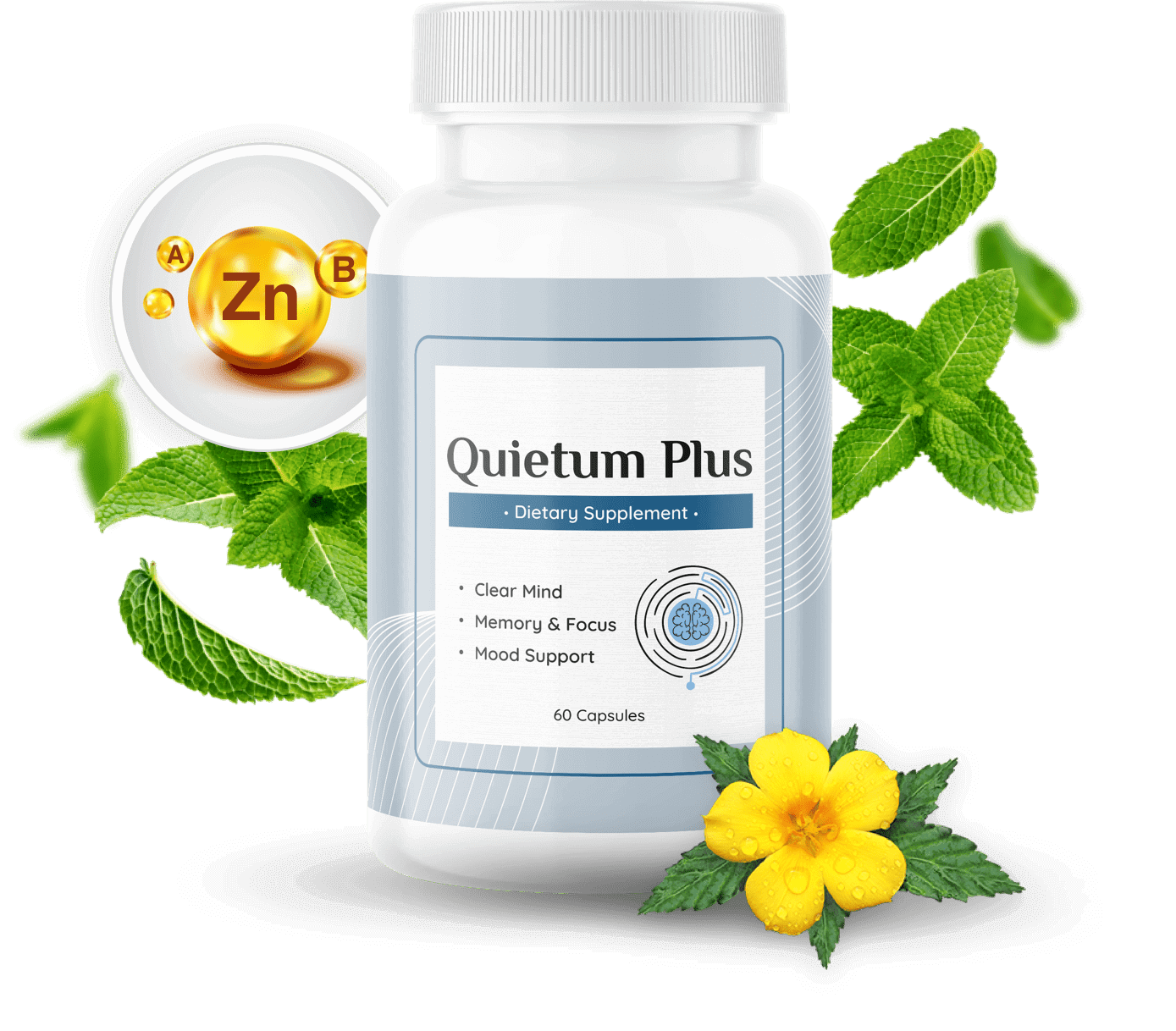 quietum-plus-mains-2-1-